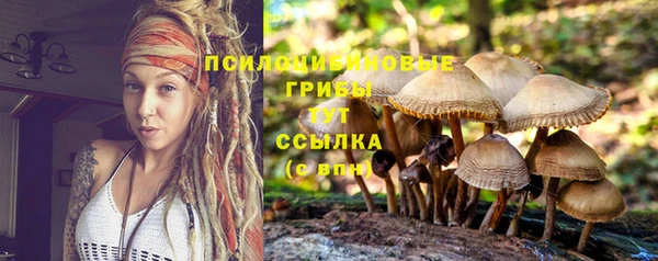 гашишное масло Саяногорск